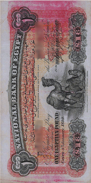 One Pound (2 camels)